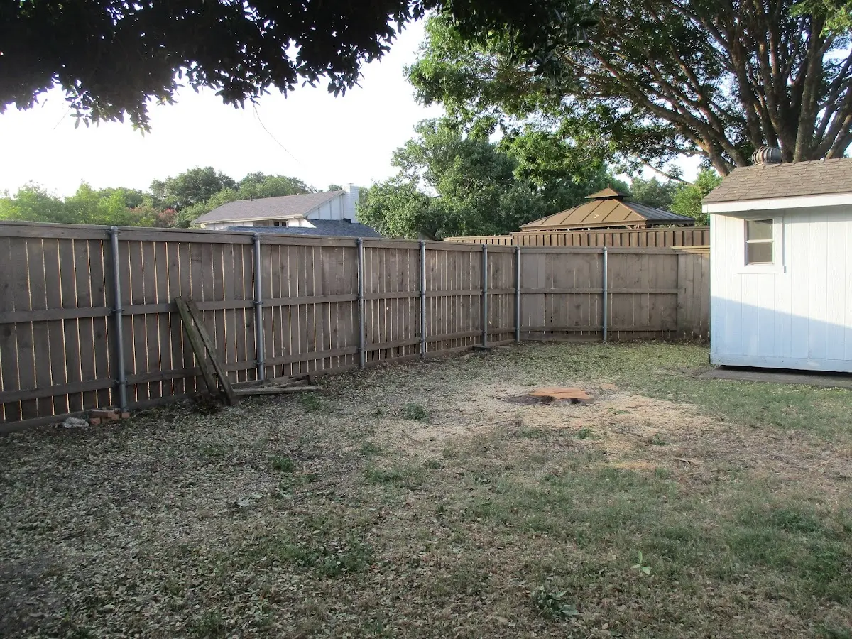 Cleared yard after professional tree removal in Stamford